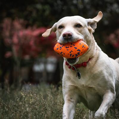 China Stocked Custom Dog Chew Ball Toys Small Throw High Bounce Dogs Balls for sale