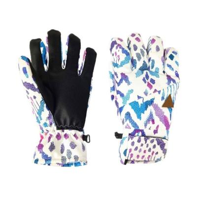 China Women Women Waterproof Outdoor Snowboard Gloves Winter Skiing Gloves for sale