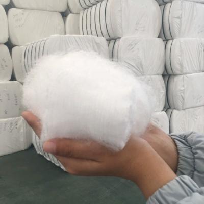 China Filling Material Polypropylene Staple Fiber Synthetic Fiber For Nonwoven Fabric for sale