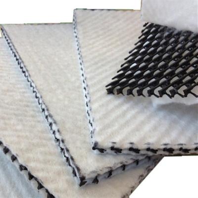 China Landfill construction geocomposite drainage net for landfill construction for sale