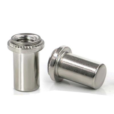 China Stainless Steel Rivet Sus304 M4 M5 M6 M8 Threaded Inserts Flat Head Nut Sealed Blind Nut Sealed Hermetic Waterproof for sale