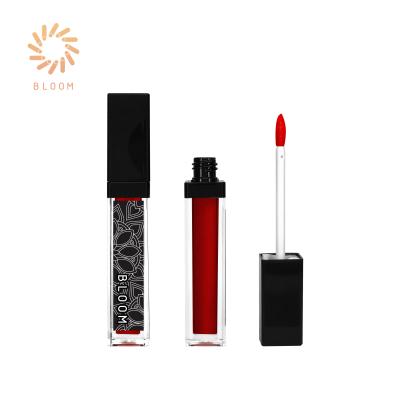 China Waterproof Stock 3D Printing Custom Velvet Matte Lipgloss With Mirror Lip Gloss Makeup for sale