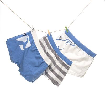 China Hot Sale Constellation Style Boys Underwear Cotton Breathable Boxer Briefs Multicolor Quality Kids Shorts for sale