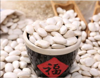 China High quality Japanese white kidney beans dried for sale