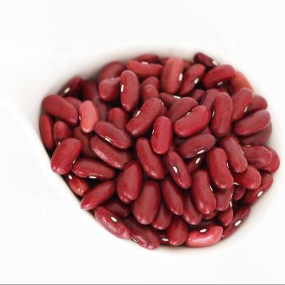 China Best Dry Selling Red Spotted Bush Beans Wholesale for sale