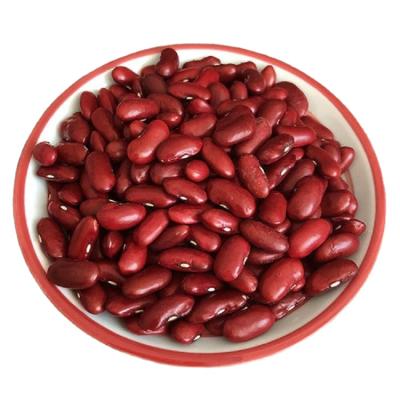 China Dry well pick 190-210pcs/100g, dark red dwarf bean for sale