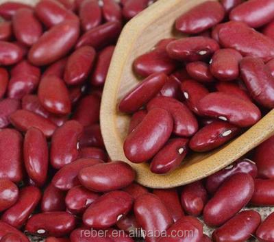 China NEW Dried Dwarf Beans CROP2017 High Quality Dark Red SIZE190-210pcs/100g RAJMA /DRKB/ Shanxi Origin for sale