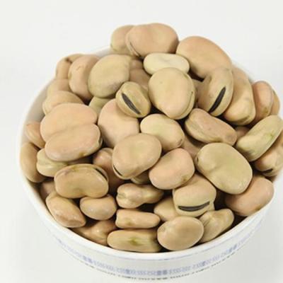 China 2021crop dry dried 0-60 60-70 70-80 pcs peeled beans price for sale