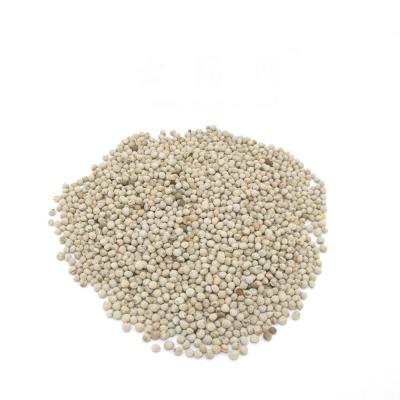 China The bird stuffs the white seeds of Perrila for sale