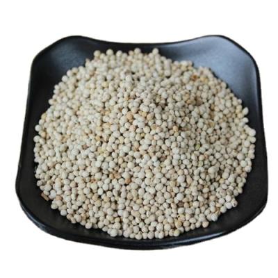 China Bird stuffs white Perrila seeds for bird feed for sale