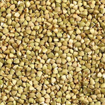 China Grain buckwheat kernel for sale