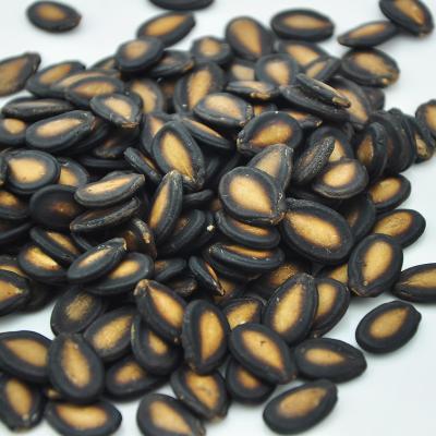 China New Crop High Quality Raw And Dried Price Best Black Watermelon Seeds for sale