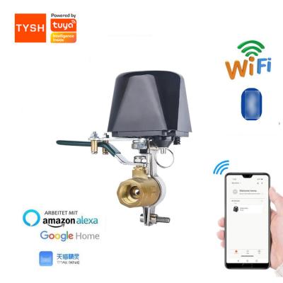 China General Hot TYSH Amazon Tuya Wifi Controller Water Valve Sale Wifi Automatic Electronic Electronic Smart Valve Te koop