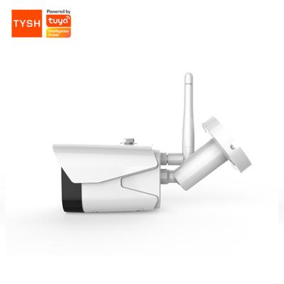 中国 Human Motion Tracking TYSH Smart Home Security Camera Battery Wireless IP Ptz IR CCTV Camera Wifi Hd 1080p Video Cloud Camera Alarm Detection Motion 販売のため