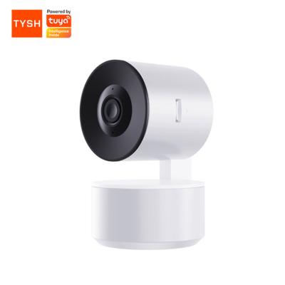 中国 TYSH Tuya Smart Motion Detection CCTV IR Camera Motion Detection Alarm Video Security Camera 販売のため