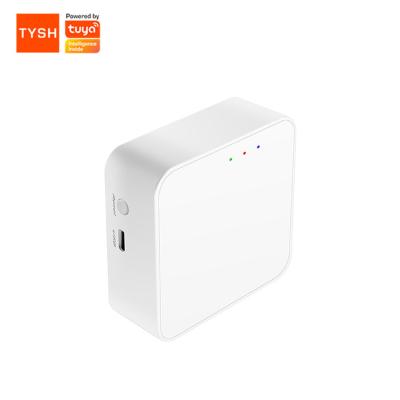 China Smart Home Devices TYSH Smart Home AutomationGateway Kit Wireless Gateway Support Alexa and Google Assistant Te koop