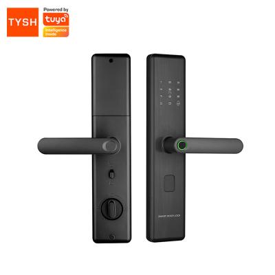 중국 TYSH App Wide Remote Control Open Touch Fingerprint Wify Tuya Smart Door Lock with Voice Prompts 판매용