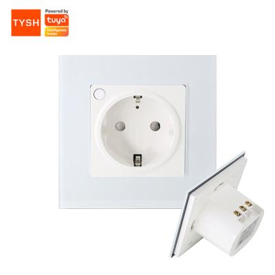 Cina TYSH Tuya Commercial Smart Home Wall Power Voice Control Socket with Google Amazon Alexa in vendita