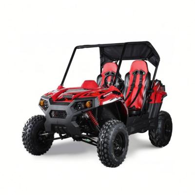 China Iron TBM 2 Seats High Rigidity 200 175 150 CC UTV QUAD Off-Road Buggy SIDE BY SIDE SSV ATV for sale