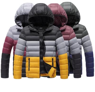 China Viable Mens Fashion Jacket Contrast Color Zipper Pockets Mens Striper Padded Jacket for sale