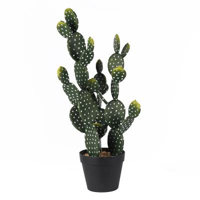 China Indoor home decoration cactus plastic Fake plants tropical plant simulation cactus artificial cactus for sale