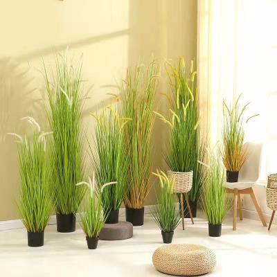 China Foxtail/Dandelion/Pampasgrass/Reed Wall Decoration Grass Bonsai Plants Natural Artificial Plastic Plants For Decoration for sale