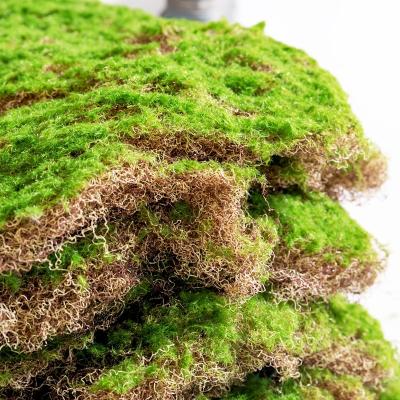 China Decorative Preserved Artificial Plastic Green Wall Decoration Moss Wall Panel for sale