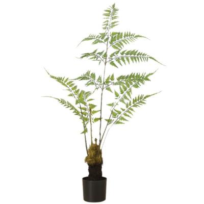 China Indoor Home Decoration Artificial Plastic Potted Monkey Green Plant Head Decoration Fern for sale