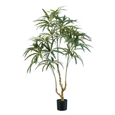 China Dizygotheca Elegantissima Peacock Tree Plant Artificial Greenery Home Indoor Decoration Faux Tropical Tree For Showroom for sale