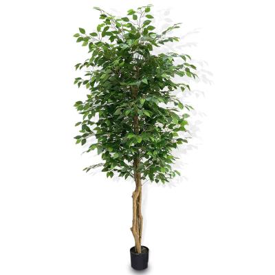 China Almost 6ft natural indoor home decoration. Artificial Ficus Trees, 72in, Green for sale