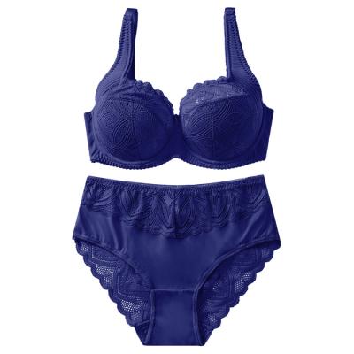 China 2022 Hot Sale QUICK DRY Newly Appropriate Design Plus Size Lace Bras And Underwear Set Women's Panties for sale