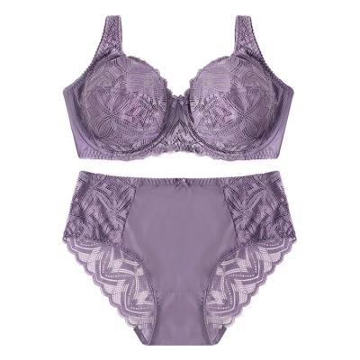 China Best Choice Top Quality Comfortable Popular Women's Underwear And Bra Sets QUICK DRY for sale