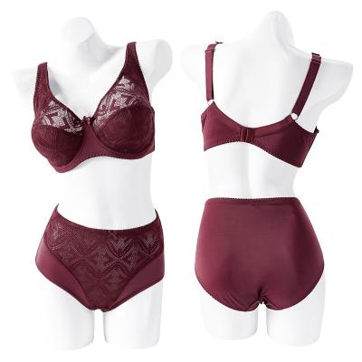 China 2022 New Designer Lingerie Underwear Women's Big Size Seamless Bra and Brief Sets QUICK DRY Two Piece Bra Sets for sale