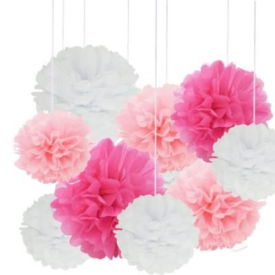 China Hot Sale 24PCS Baby Shower Tissue Craft Paper Pom Poms For Ceiling Decor Wall Decor for sale