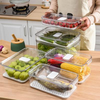 China Freshness Preservation Vegetable Storage Fridge Plastic Organizer Large for sale