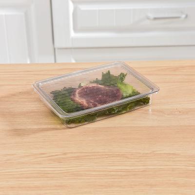 China Plastic Refrigerator Storage Freshness Keeping Kitchen Container Transparent Storage Box for sale