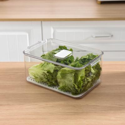 China Freshness Preservation Refrigerator Food Storage Container Clear Plastic Vegetable Box for sale