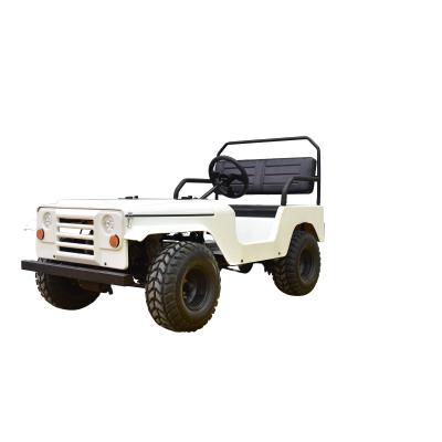 China 800W/1200W electric mini willys rover ATV car buggy utv for sale