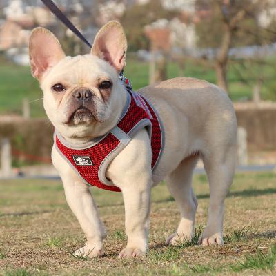 China Custom Drop Shipping Reflective Mesh Safety 1.5m Summer Safe Chest Strap Leash Pet Harness Set Hot Sale For Dog Cats for sale