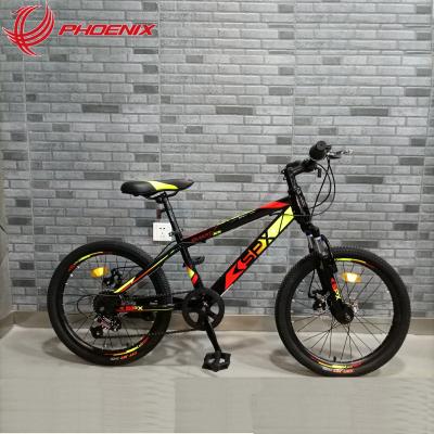 China PHOENIX Promotion Kids Bike 20 Inch 21 Speed ​​STEEL Frame Cable Disc Brake Mountain Steel Adult Bicycle for sale