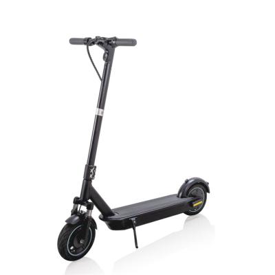 China 10 inch e scooter Phoenix frame 36V/15Ah unisex powerful lithium battery aluminum electric scooter for sale