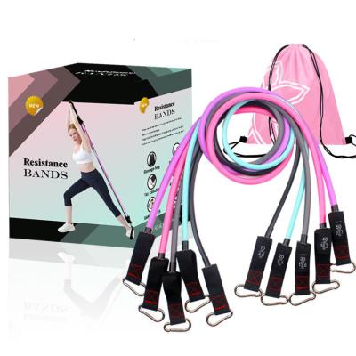 China New Arrival 11pcs High Elastic Strength Resistance Bands Sets New Design Band Latex Loop Resistance Bands Sets for sale