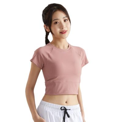 China Breathable Yoga Sports Wear Simple Design White Nylon Spandex Cropped Top Women T-Shirt for sale