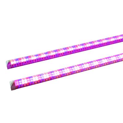 China Long strip grow lamp T8 led crece la luz vertical farm used the full spectrum of lechuga indoor vegetable horticultura to grow light for sale