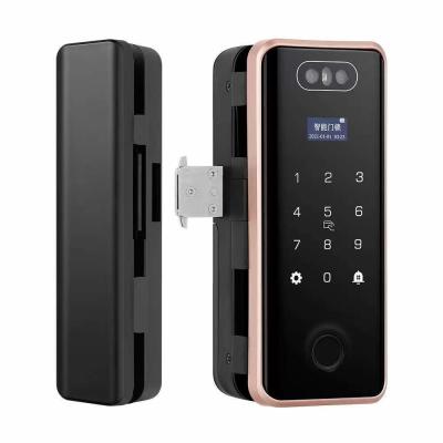 Κίνα Βίλα Face ID Smart Lock ROHS αυτόματη κλειδαριά πόρτας για διαμέρισμα προς πώληση