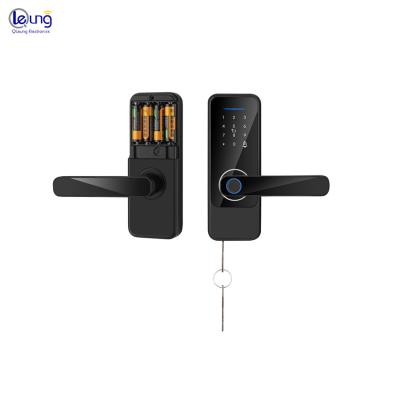 China Alkaline Battery Electric Door Lock Fingerprint Aluminum Alloy Smart Locks For Home for sale