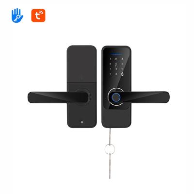 China Tuya App Electronic Password Lock Wifi Biometric Door Lock For Home for sale