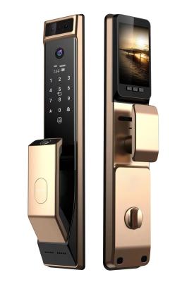 China Champagne Gold Gezichtherkenning deur slot Intelligent Voor Office Hotel Te koop