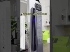 Secure 3D Face Video Call Door Lock with Wifi App Finger Print Camera and 6kg Weight