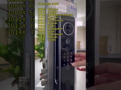 6068 Mortise Aluminum Alloy CNC Smart Wifi Door Lock with 3D Face Recognition Intercom